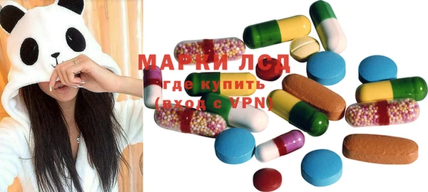 молекула духа Ладушкин