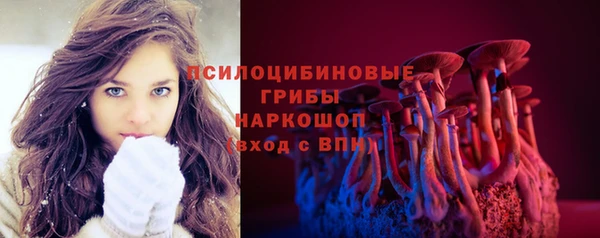 молекула духа Ладушкин