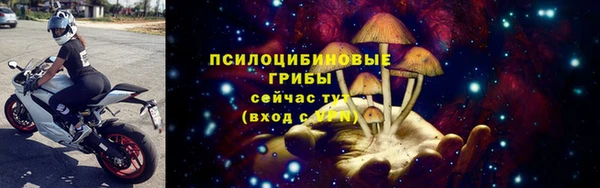 не бодяженный Бородино