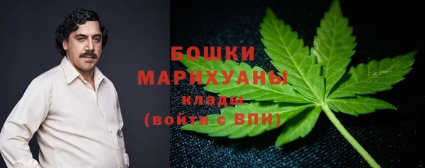 молекула духа Ладушкин
