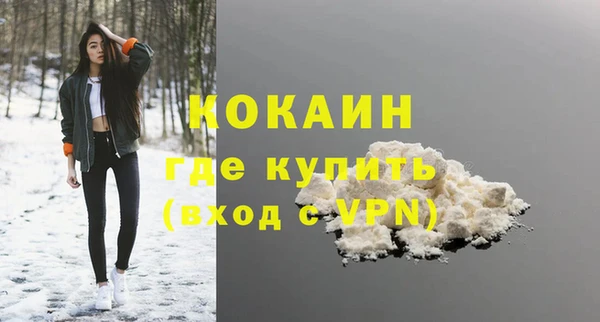 молекула духа Ладушкин