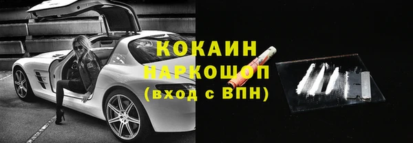 молекула духа Ладушкин