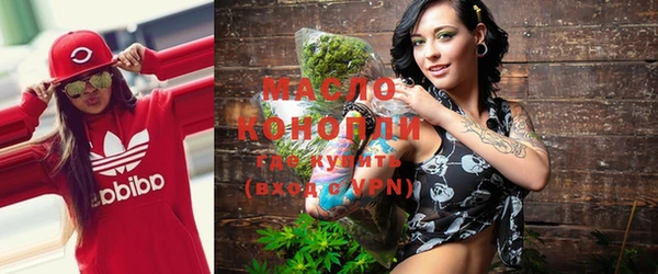 молекула духа Ладушкин