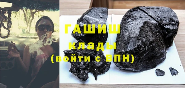 молекула духа Ладушкин