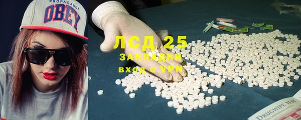 молекула духа Ладушкин