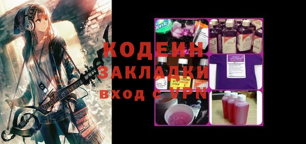 молекула духа Ладушкин