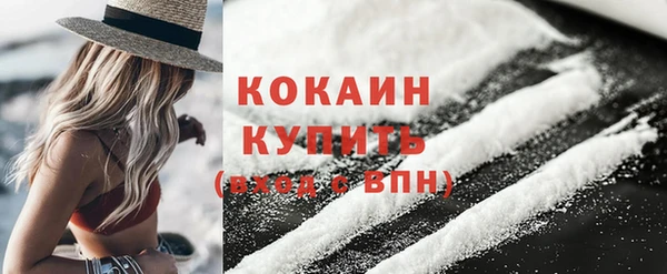 молекула духа Кулебаки