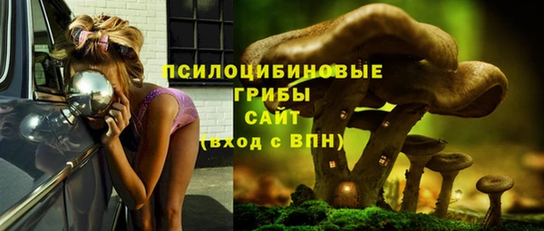 ешки Бугульма
